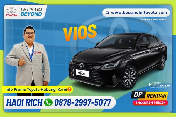 ALL NEW VIOS