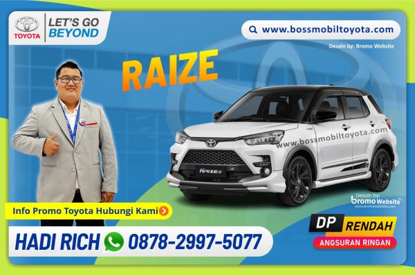 RAIZE